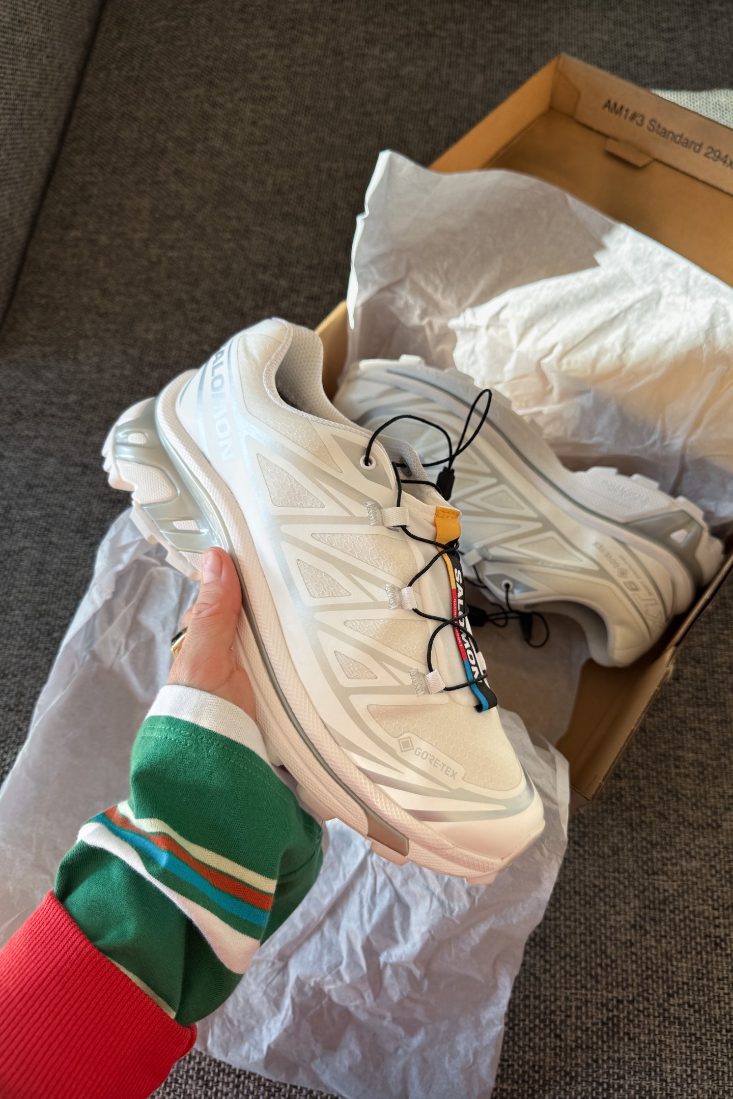 Salomon Sportstyle XT-6 GTX