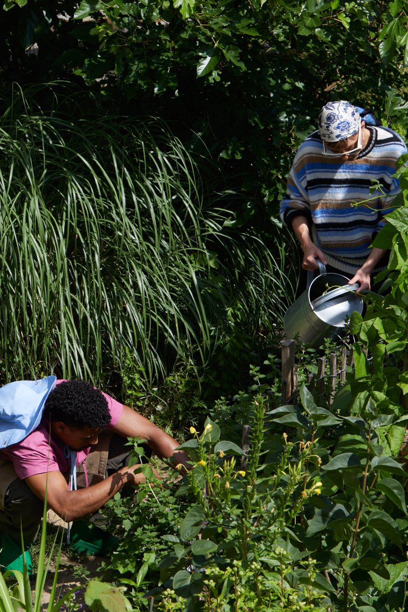 Tres personas cuidan de un jardín exuberante: una sostiene una caja de plantas, otra se agacha para podar, y una tercera riega con una regadera de metal.