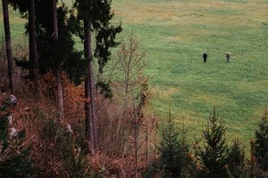 To personer går på tværs af et grønt mark, omgivet af træer og sparsom buskvegetation, mens de nyder en fredelig naturscene.