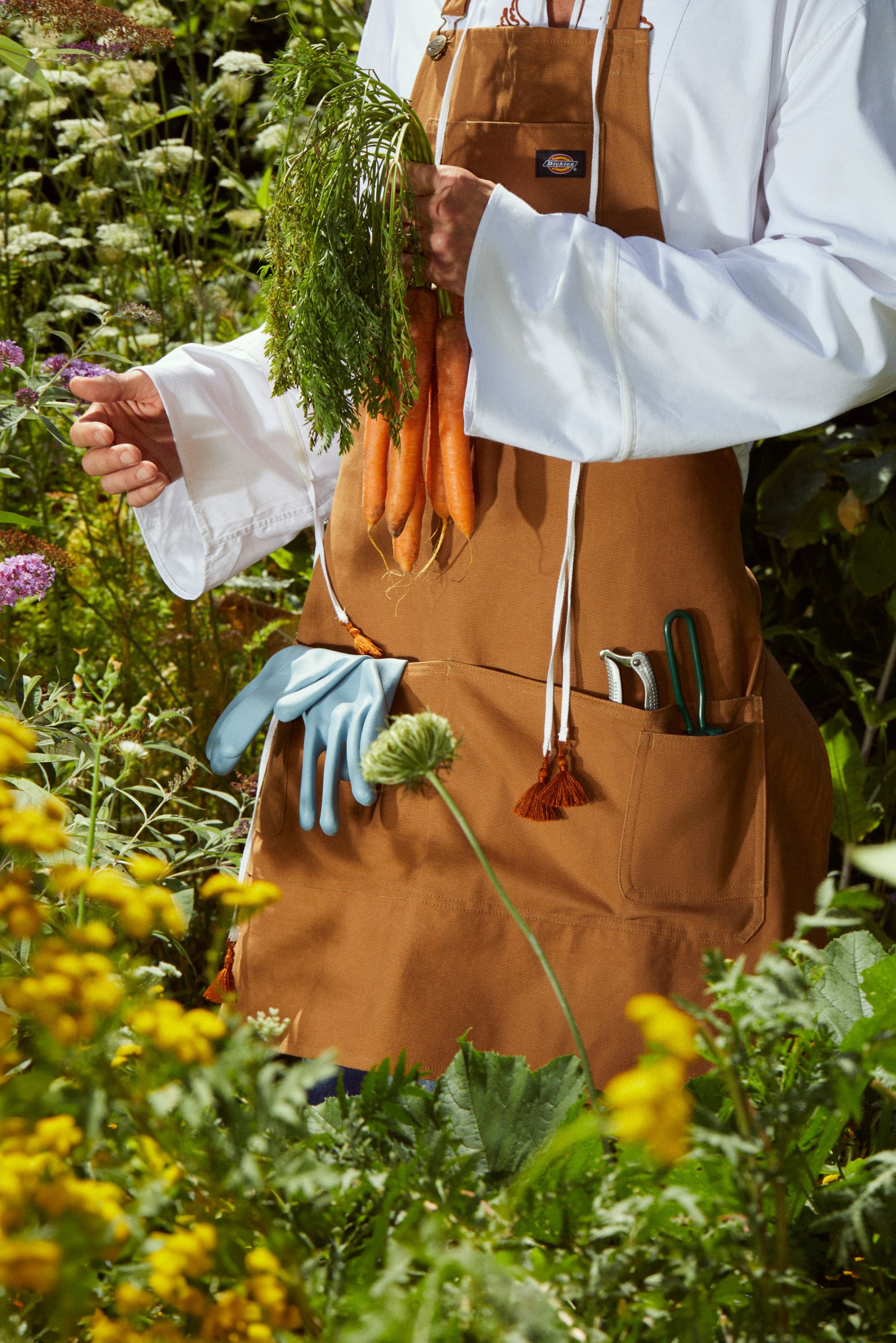 Una persona con un delantal marrón sostiene zanahorias frescas con vegetación a su alrededor. Los guantes de jardinería están guardados en el bolsillo del delantal entre flores vibrantes.