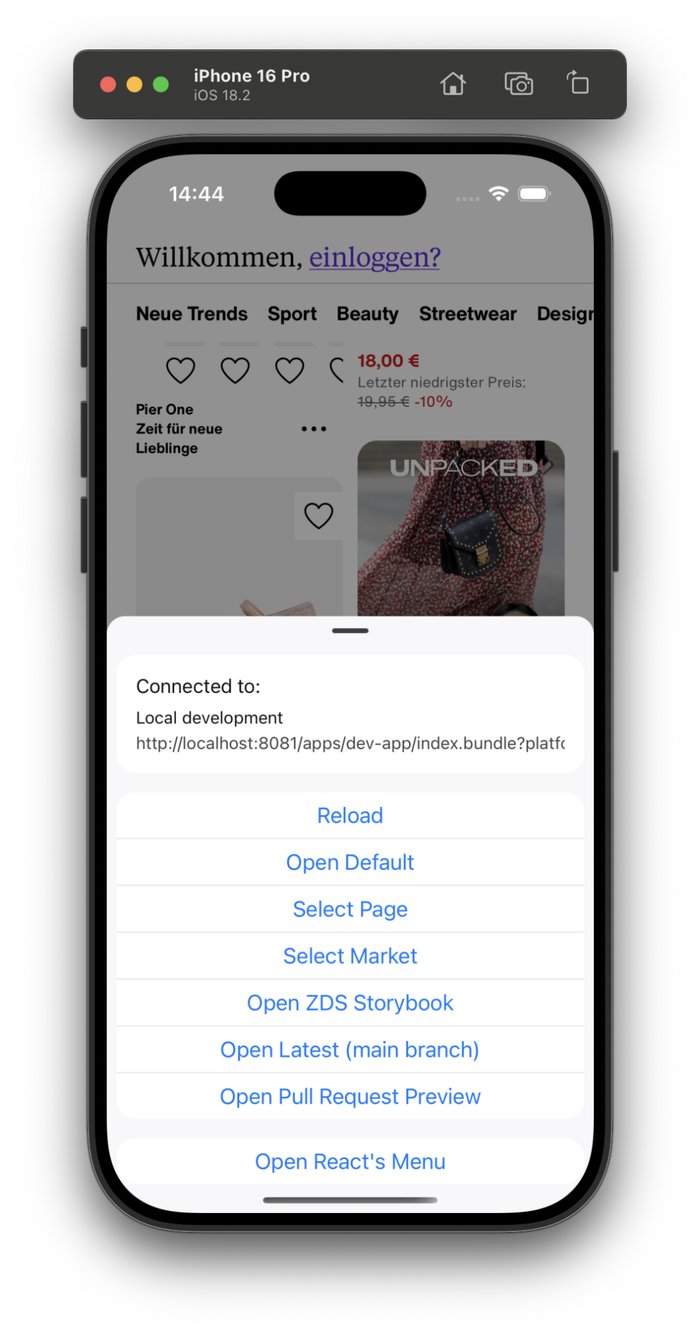 Developer app with custom menu for switching between pages and other utilities