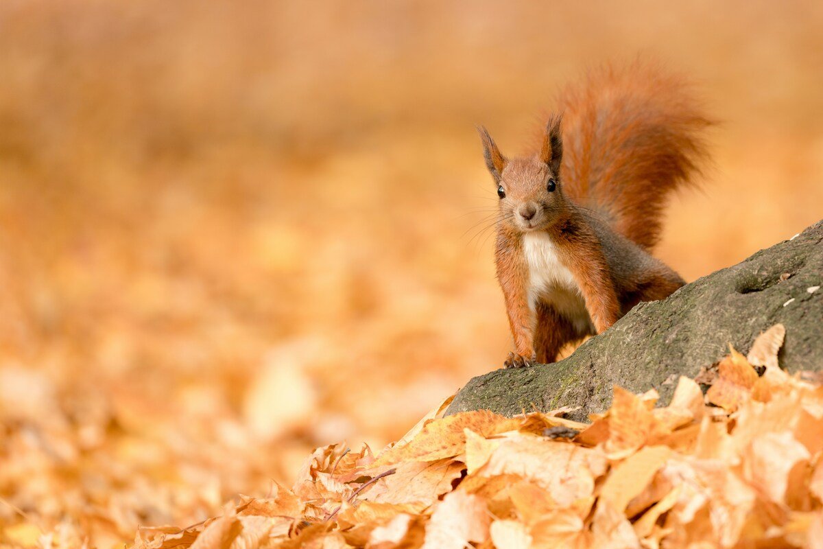 Photo by Włodzimierz Jaworski on Unsplash