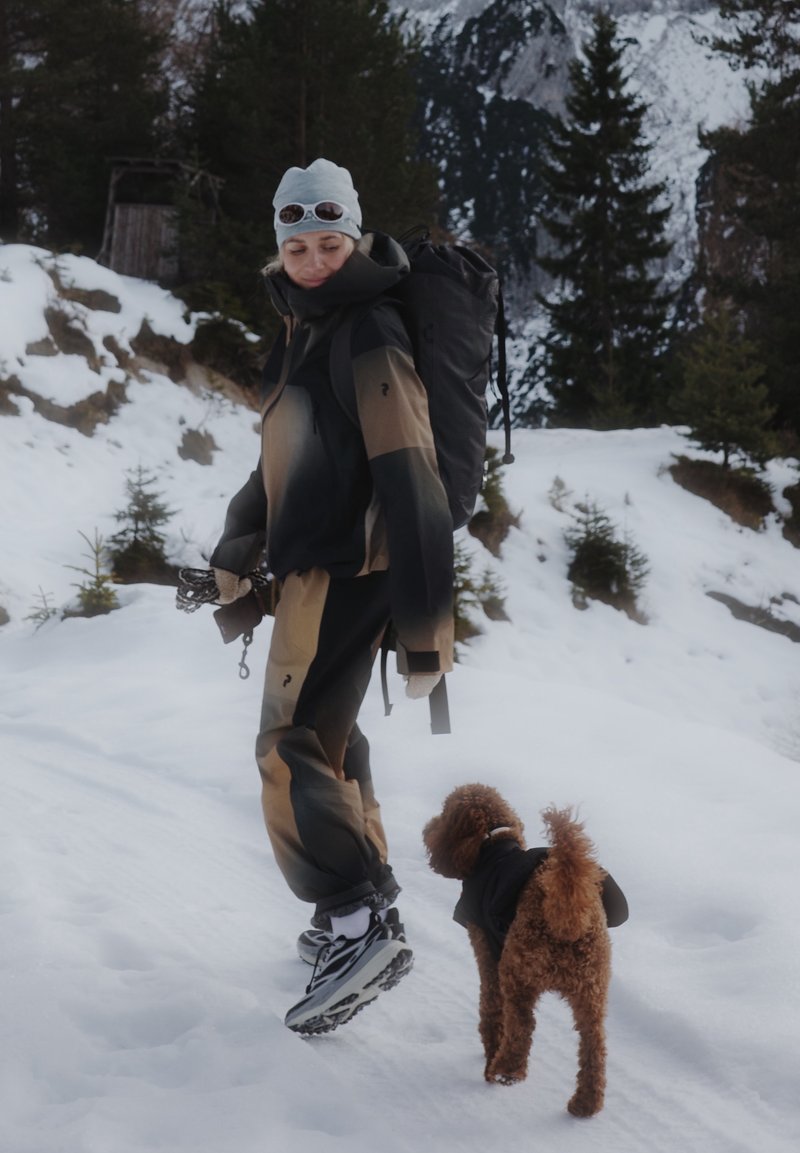 Personne en tenue d'hiver avec un sac à dos marchant avec un petit chien brun dans une forêt montagneuse couverte de neige.