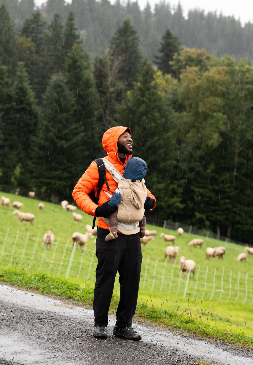 Mann in orange Jacke trägt Baby in Trage, steht auf einem nassen Weg nahe einem grünen Feld mit weidenden Schafen bei leichtem Regen.