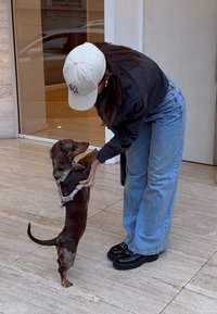 Una persona in giacca nera a righe e jeans azzurri interagisce con un dachshund marrone e maculato che indossa un’imbragatura grigia.