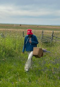 Osoba w niebieskiej bluzce i w paskowanych spodniach niesie pleciony kosz wypełniony kwiatami, idąc przez trawiasty teren z krowami w tle.