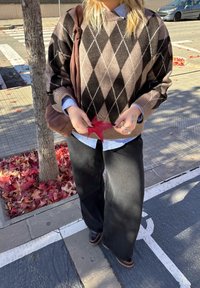 Hnedý a čierny károvaný pletený sveter, pod ním modrá košeľa s golierom, čierne široké nohavice, drží červený list, na ramene zavesená hnedá taška.