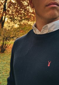 Σκούρο μπλε υφασμάτινο πουλόβερ με στρογγυλή λαιμόκοψη, που έχει ένα μικρό κόκκινο κεντητό λογότυπο αστακού στο αριστερό στήθος. Λευκό πουκαμισάκι από κάτω.