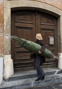 Femme portant un sapin enveloppé en montant des marches en pierre devant une grande porte en bois brun avec une boîte aux lettres sur le côté droit.