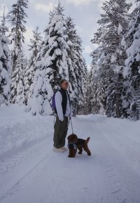 A person in a black vest over a grey sweatshirt stands on a snowy path, holding a lead attached to a small brown dog wearing a coat.