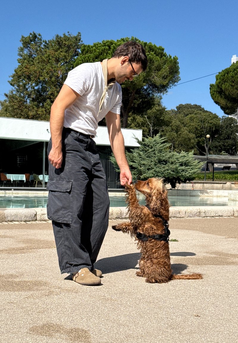 Homme en chemise blanche et pantalon foncé donne une friandise à un chien marron debout sur ses pattes arrière près d'une piscine par une journée ensoleillée.