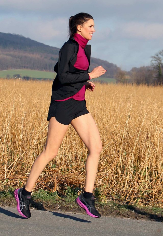 fight_your_schweinehund