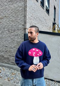 Maglione lavorato a maglia blu navy con un grande disegno di fungo rosa con macchie bianche e un gambo bianco. Vestibilità casual con maniche larghe.