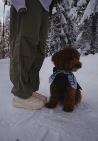 Brown dog with curly fur wearing a black vest and a light blue bandana featuring a star pattern, alongside a person in olive green trousers and white shoes.