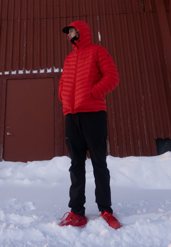 william_larsson