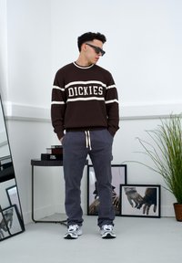 Smeđi rebrasti pulover s bijelim prugama i natpisom "DICKIES", u kombinaciji s muškim sivim cargo hlačama i bijelim tenisicama, u minimalističkom interijeru.