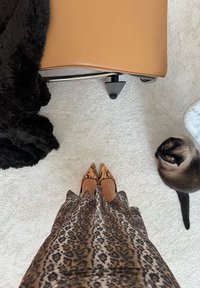 Robe à imprimé léopard avec un ourlet évasé, associée à des talons pointus ornés d'un motif rayé tigre, posés sur un tapis blanc doux.