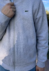 Pilkas zip-up džemperis, pagamintas iš minkštos medvilnės su mažuoju žaliu krokodilo logotipu kairėje krūtinės pusėje ir guma apdirbtais rankogaliais. Paprastas, kasdieniškas dizainas.