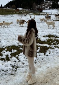 Plašč iz umetnega krzna v svetlo rjavi in krem barvi, bež legice in krem pozimi škornji z vezalkami. Sneg pokrajina z jelenom v ozadju.