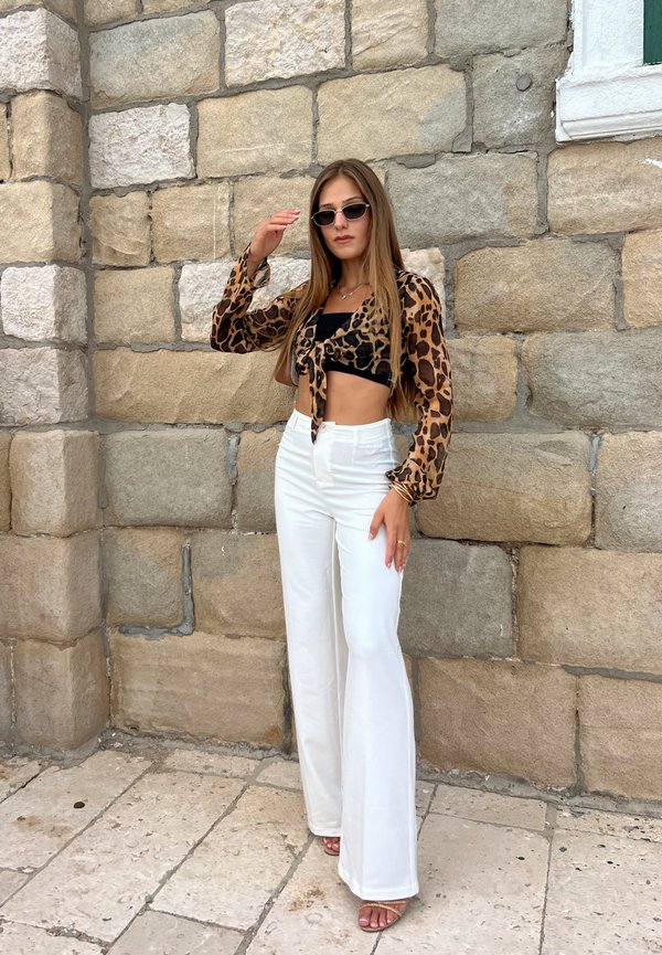 klara.andrijasevic