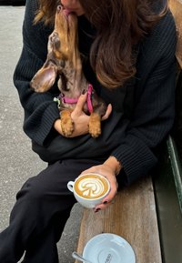 Brun och tan daxhund med rosa sele, slickar en persons ansikte. Personen håller en latte i en vit kopp med hjärtmotiv på skummeten. Träbänk.