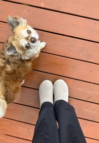 Opálený pes s nadýchanou srstí stojí u lidských nohou obutých v světle šedých semišových dřevácích na dřevěné terase. Pod botami jsou vidět tmavé kalhoty.