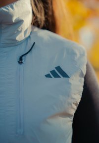 Chaleco gris claro con cuello alto, bolsillo con cremallera y detalle de logo oscuro. Textura suave con diseño ajustado, adecuado para uso al aire libre.