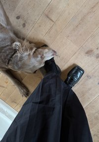 En svart, plisserad kjol hänger över en glänsande svart sko. En ljusbrun hund vilar sitt huvud mot skon på ett trägolv.