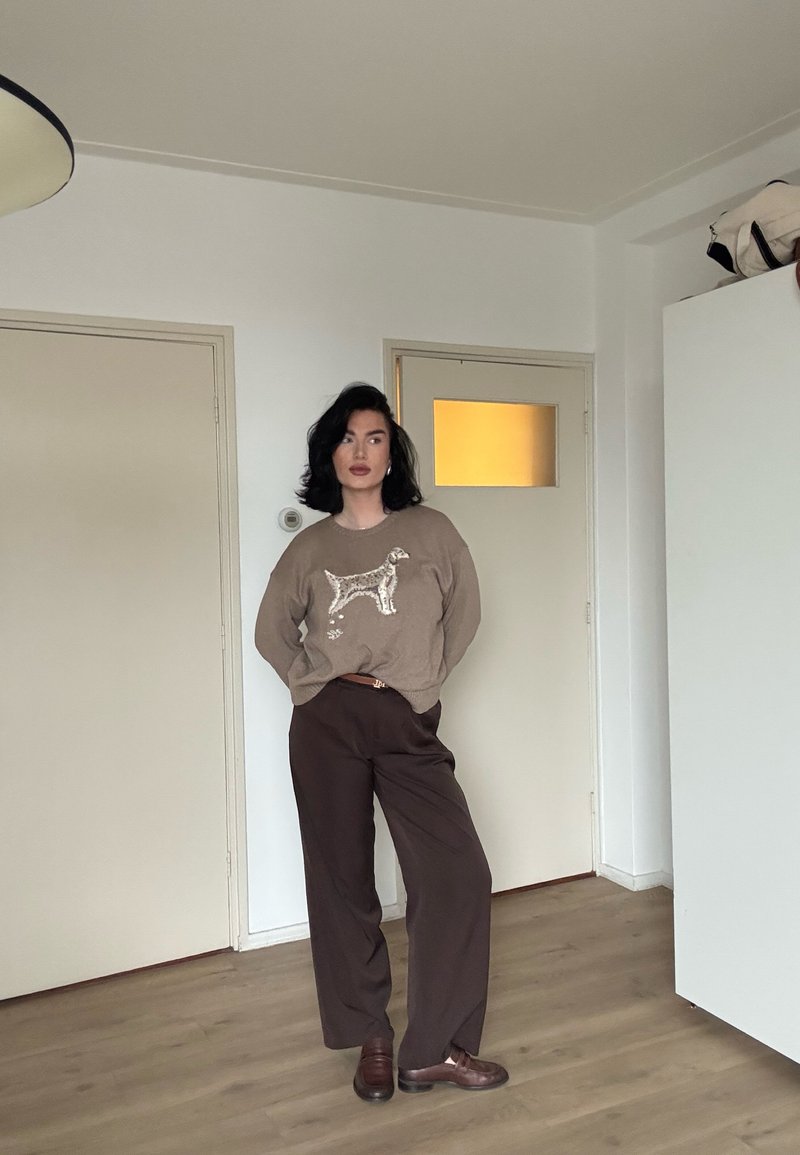Pull marron en tricot avec un motif de chien, associé à un pantalon marron ample et des chaussures marron. L'arrière-plan présente des murs blancs et une porte.