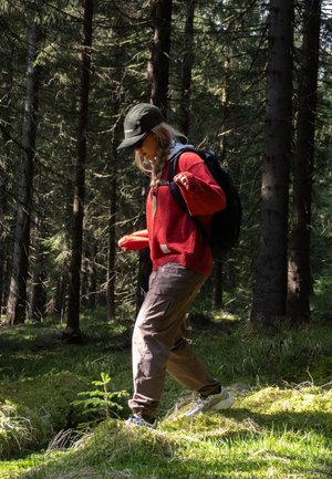 Persona con suéter rojo y gorra caminando por un bosque iluminado por el sol con árboles altos y suelo cubierto de musgo verde.