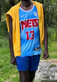 Sinine korvpallimees, millel on punane "NETS" kiri, number 13, kantud kollase kapuutsiga; koos siniste lühikesed pükstega. Roheline taust kividega.