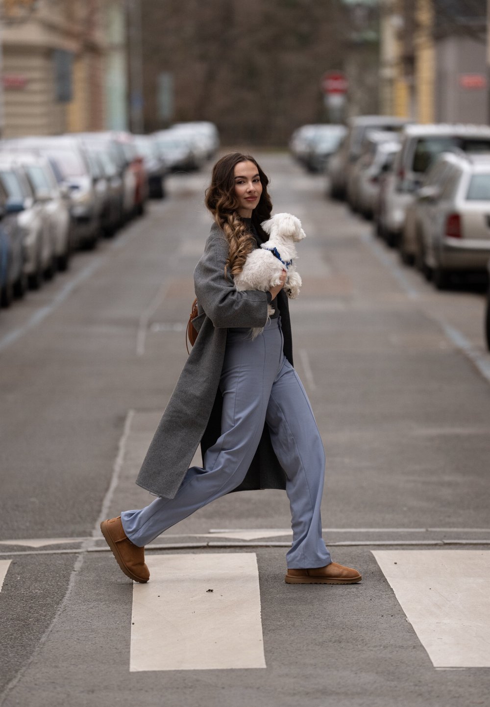 Femme traversant un passage pour piétons en ville en tenant un petit chien blanc, portant un manteau gris, un pantalon bleu et des chaussures marron.