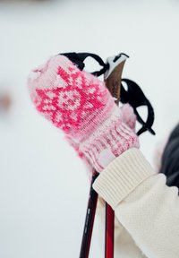 Χέρι με ροζ και λευκό γάντι με μοτίβο που κρατά το λουρί ενός σκιόρου, με φόντο το χιονισμένο τοπίο.