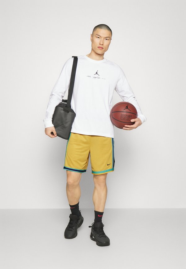 Nike Performance LEBRON WITNESS 7 Basketball shoes white/metallic silver/black/white