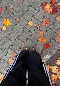 Pantaloni neri con strisce bianche che coprono i piedi in calzature marroni, circondati da foglie autunnali arancioni e gialle sparse su un marciapiede di pietra.