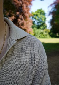 Pull en tricot beige avec un col côtelé, présentant un motif texturé, montré de l'épaule jusqu'au haut dans un cadre de parc vert.