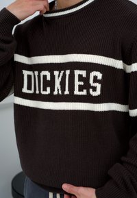 Smeđi pleteni pulover s bijelim horizontalnim prugama i natpisom "DICKIES" u podebljanim slovima. Dizajn s okruglim izrezom i rebrastom teksturom na manžetama.