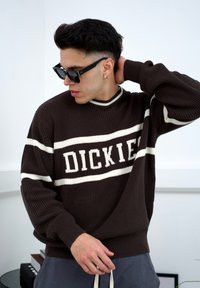 Smeđi pleteni pulover s bijelim horizontalnim prugama i natpisom "DICKIES" u sredini. Nosite ga sivoj hlačama; osoba nosi crne sunčane naočale.