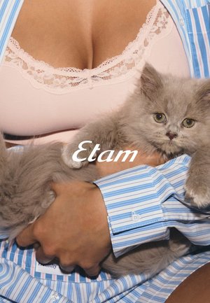 Persona che indossa un reggiseno rosa con trim in pizzo e una camicia a righe, tiene vicino al petto un soffice gattino grigio con occhi verdi.