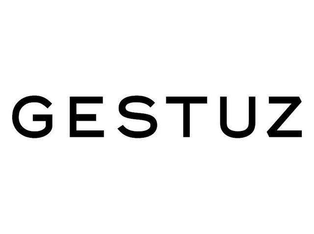Texte en majuscules noir affichant "GESTUZ" sur fond blanc. La police est moderne et bold, mettant en avant des lignes épurées et la simplicité.