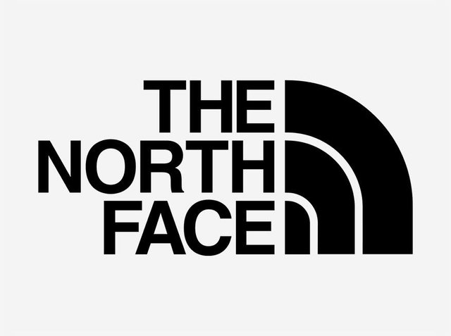 Logo negru al "THE NORTH FACE" cu un tipar îndrăzneț, având un design distinctiv în formă de semicerc care amintește de vârful unei munt.