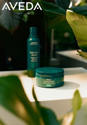 Aveda Botanical Repair Produkte: eine türkisfarbene Shampoo-Flasche und ein passendes Haarkur-Glas, beide beschriftet, auf einer hellen Oberfläche, umgeben von grünen Blättern.