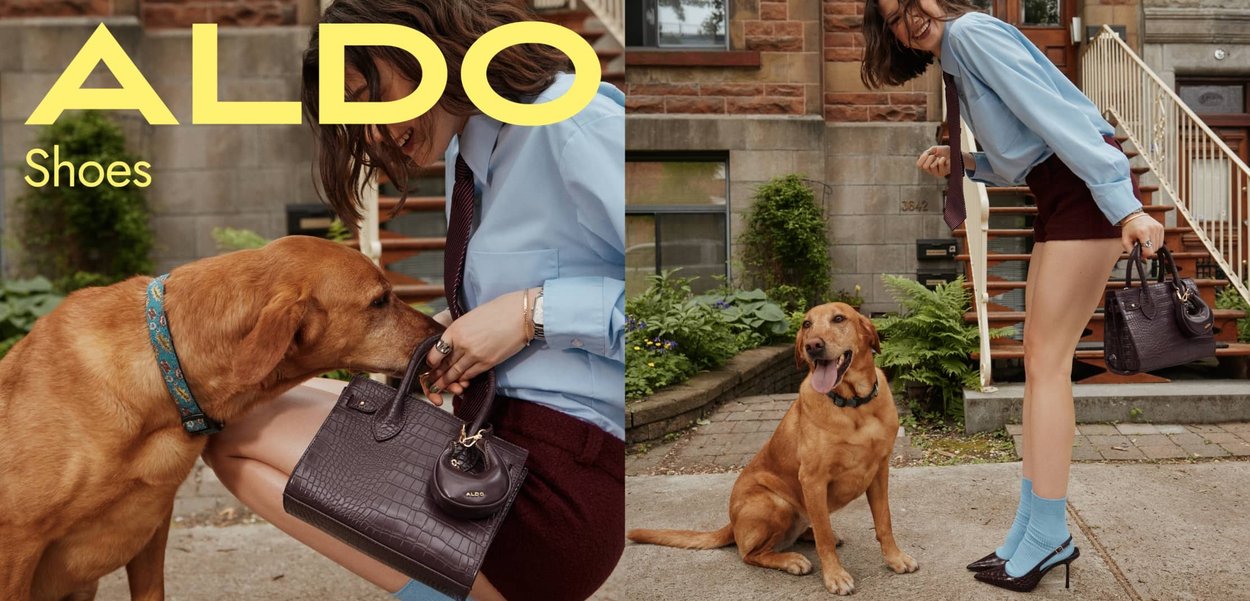 Chien marron avec un collier bleu près d'une personne portant une chemise bleu clair, un short bordeaux et des chaussettes bleues à talons pointus, tenant un sac à main noir.