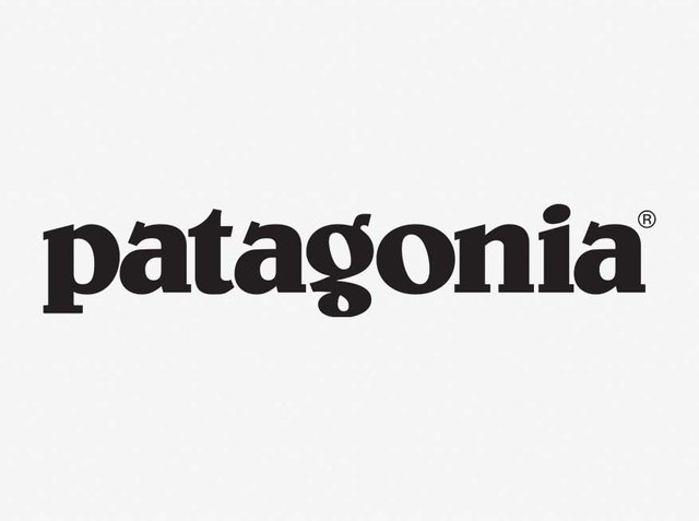 Logo cu text negru pentru Patagonia pe un fundal gri deschis, featuring litere îndrăznețe, rotunjite, cu un stil distinctiv de litere mici.
