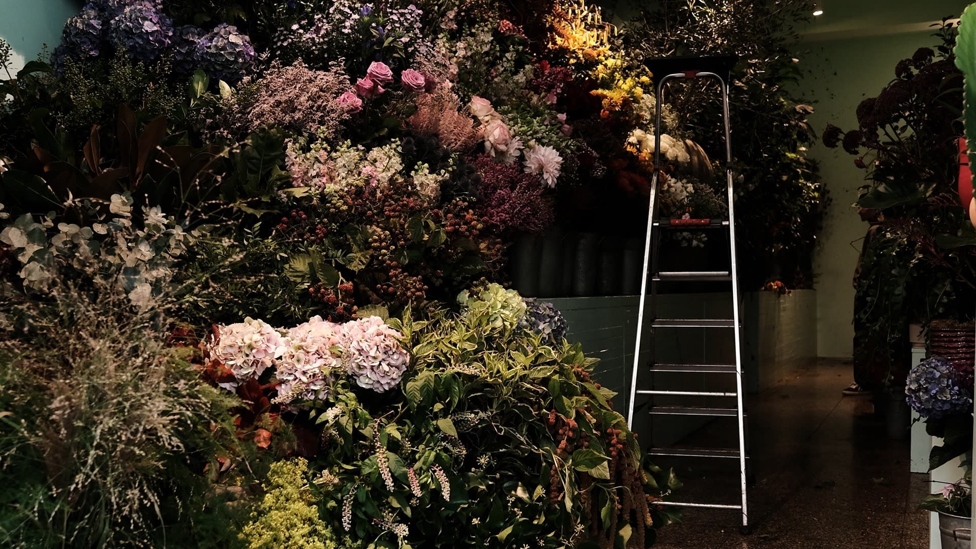 Metalen trapladder naast een levendige display van verschillende bloemen, waaronder roze rozen, hortensia's en groen tegen een groene muur.