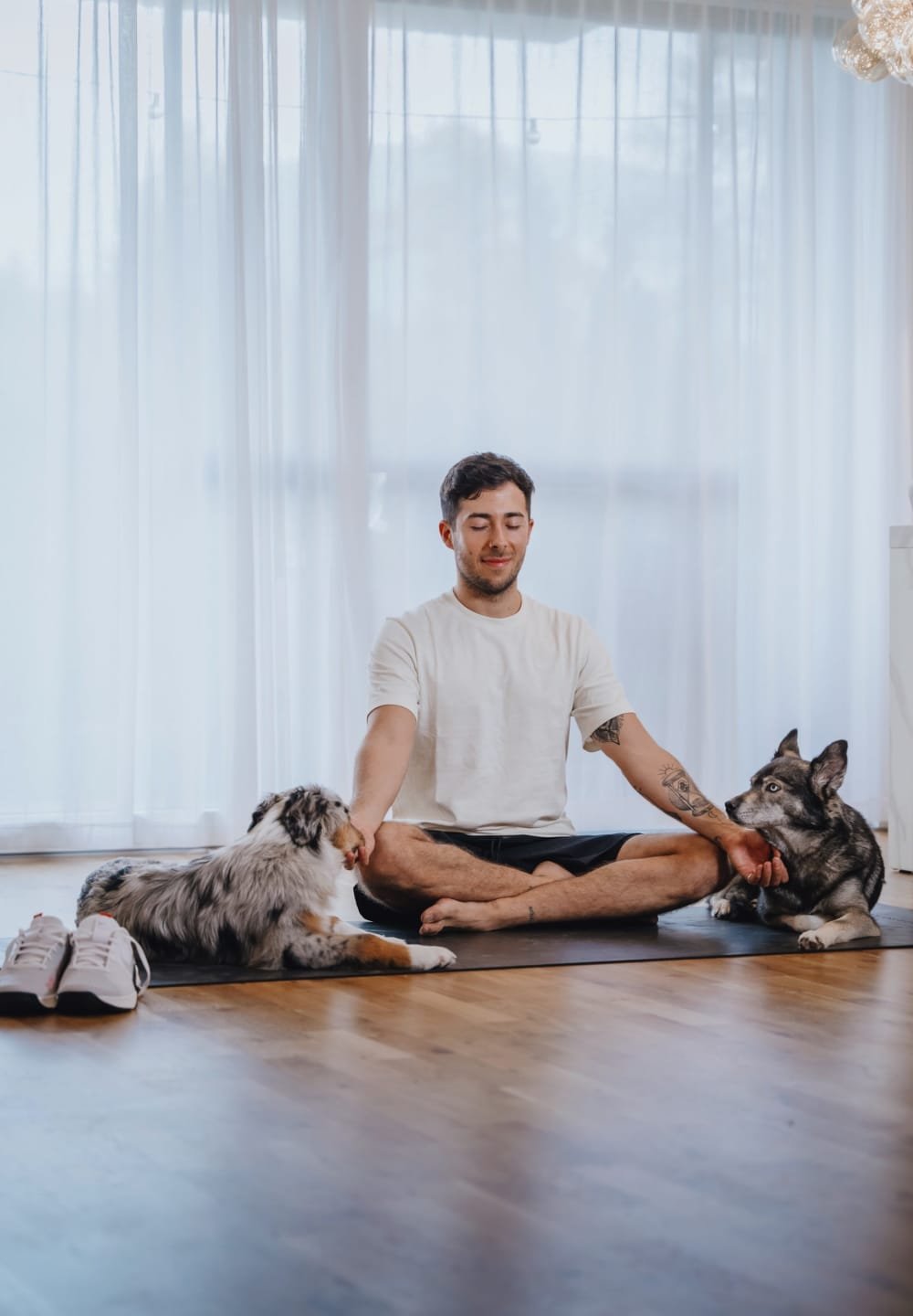 Person in a white t-shirt and black shorts seated on a yoga mat, surrounded by a gray dog and a multi-colored dog, with sneakers nearby.