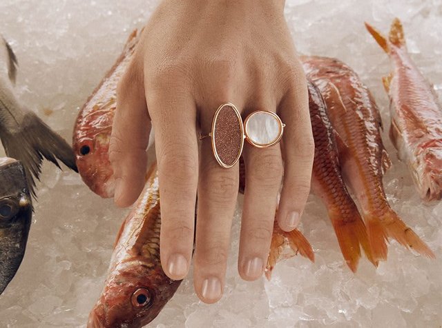 Διπλός δακτύλιος με χρυσή μεταλλική ζώνη, ο ένας έχει οβάλ σχήμα με υφή καφέ επιφάνειας και ο άλλος με λείο λευκό λίθο, τοποθετημένος πάνω σε φρέσκο ψάρι.