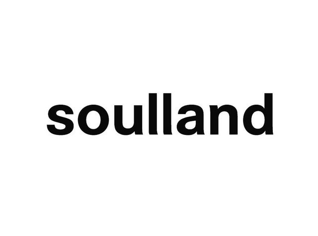Zwarte tekst die "soulland" spelt op een witte achtergrond, met een vetgedrukt, sans-serif lettertype met schone lijnen en uniforme letterafstanden.