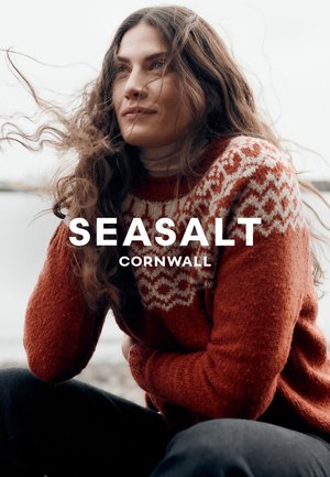 Pull en maille de couleur rouille avec un motif géométrique blanc sur la poitrine, associé à un col roulé léger. Cheveux soufflés par le vent. Cadre extérieur.