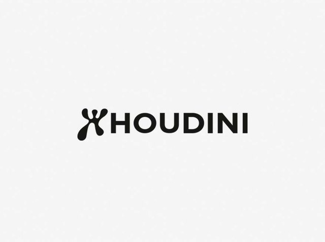 Sort tekst, der stavlerm "HOUDINI" i en moderne sans-serif skrifttype på en helt hvid baggrund, med et stiliseret design til bogstavet "H."